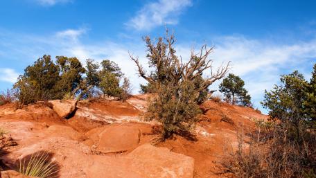 Majestic Desert Landscape Under Clear Blue Sky wallpaper