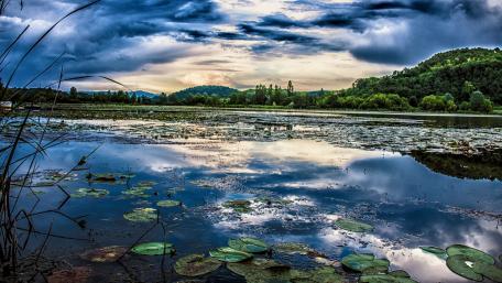 Serene Morning Lake Reflections wallpaper