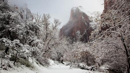 Serene Winter Wonderland Scene wallpaper