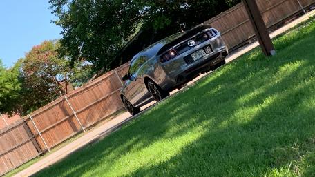 Stang wallpaper