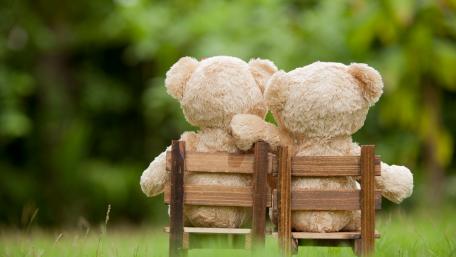 Cuddly Bears Enjoying a Quiet Moment Together wallpaper