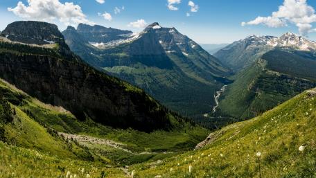 Majestic Mountain Landscape in Full Bloom wallpaper