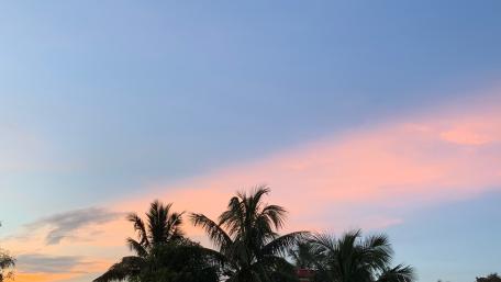 Tranquil Palm Sunset Sky wallpaper