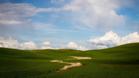 Serene Green Hills Under a Vast Sky wallpaper
