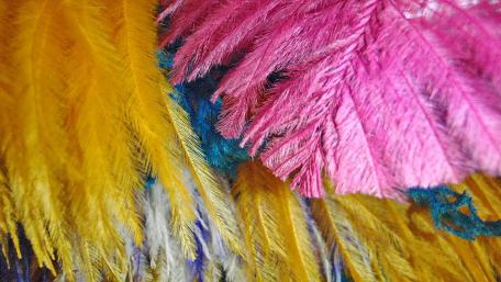 Vibrant Feathers in Abstract Harmony wallpaper
