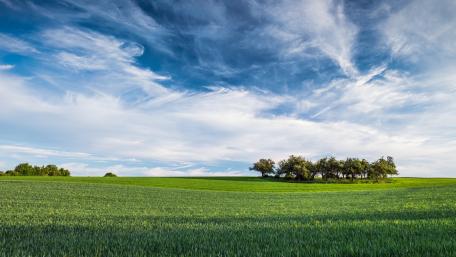 Serene Green Field Under a Vast Sky wallpaper