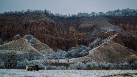 Frozen Serenity in Nature's Embrace wallpaper