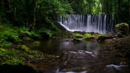 Serene Waterfall in Lush Green Forest wallpaper