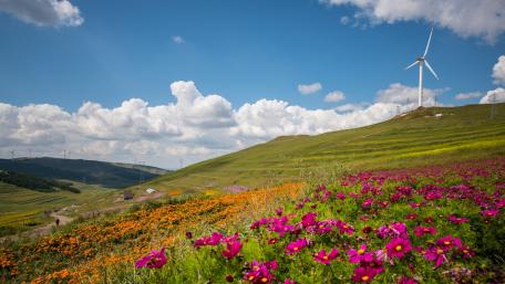 Vibrant Wildflower Fields Under Wind Turbines wallpaper
