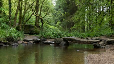 Granite bridge in Huelgoat Forest in Brittany (France) wallpaper