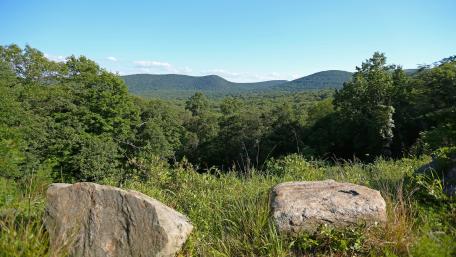 Tranquil Mountain Landscape with Lush Greenery wallpaper