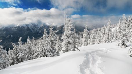 Majestic Winter Wonderland in the Mountains wallpaper