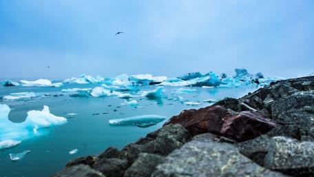 Frozen Serenity by the Icy Shoreline wallpaper