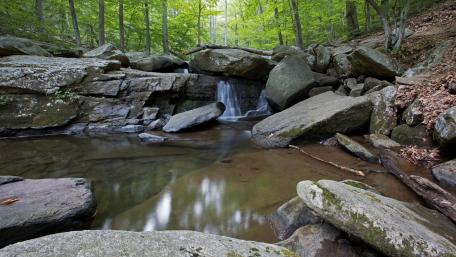 Serene Forest Waterfall Scene wallpaper