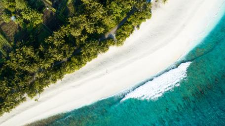 Tropical Paradise Aerial View wallpaper