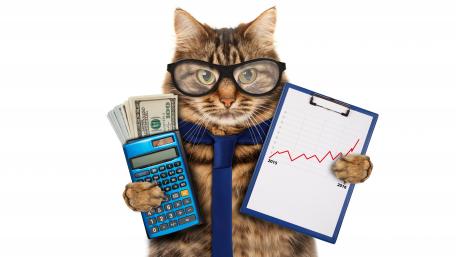 Business cat wallpaper