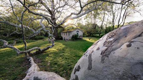Springtime Serenity at a Secluded Cottage wallpaper