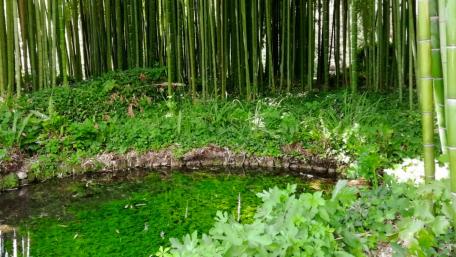 The Garden of Ninfa wallpaper