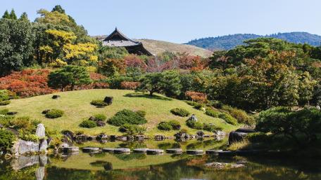 Tranquil Reflection in Nature's Embrace wallpaper