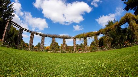 Serene Garden Under Blue Skies wallpaper