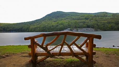 Serene Lakeside Bench in Nature's Embrace wallpaper