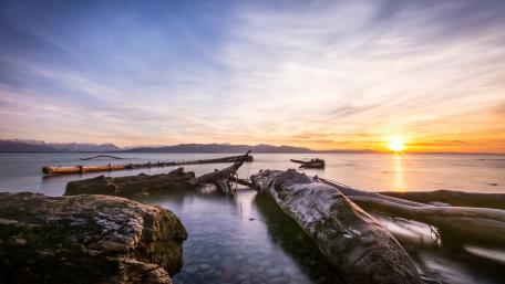 Serene Sunset Over Driftwood Beach Scene wallpaper