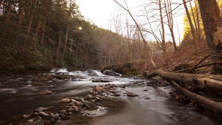 Tranquil River Flowing Through Autumn Woods wallpaper