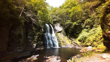 Serenity of Nature's Waterfall wallpaper