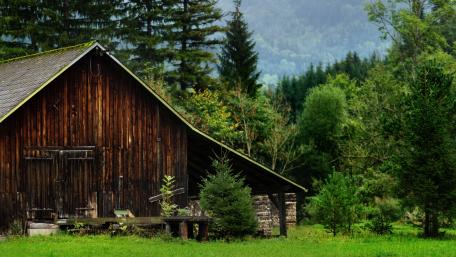 Charming Wooden Cabin Surrounded by Nature wallpaper