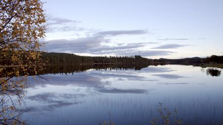 Tranquil Reflection of Nature's Beauty wallpaper