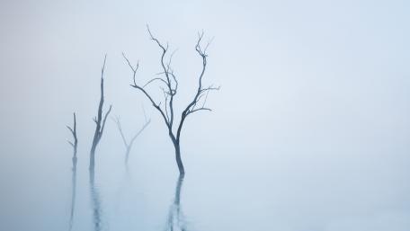 Misty Reflections of Nature's Solitude wallpaper