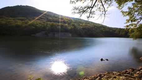 Tranquil Waters Under the Sunlight wallpaper