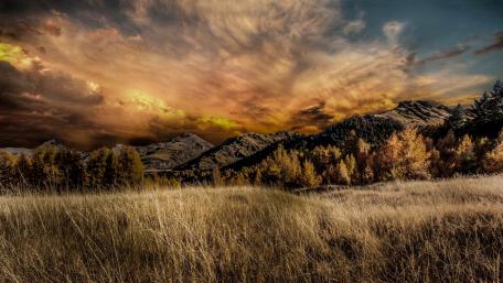 Majestic Vibrance of Nature’s Canvas wallpaper