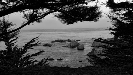 Serene Coastal View Through Framing Trees wallpaper