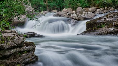 Tranquil Flow of Nature's Stream wallpaper