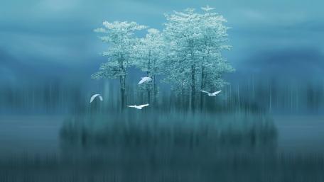 Tranquil Morning Mist Over Reflective Waters wallpaper