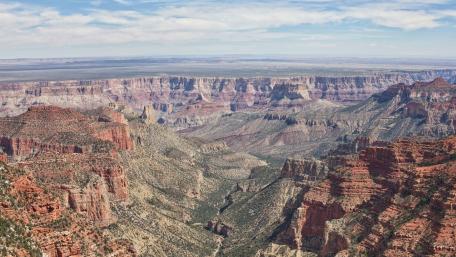 Majestic Layers of the Grand Canyon wallpaper