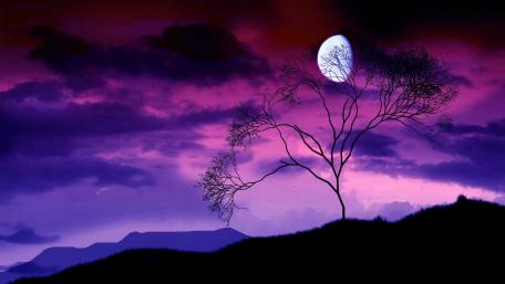 Purple Night Serenade wallpaper