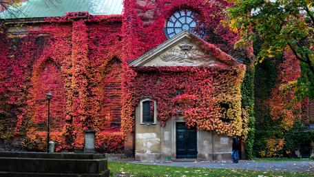 Red Virginia creeper on the Klara Church, Stockholm wallpaper