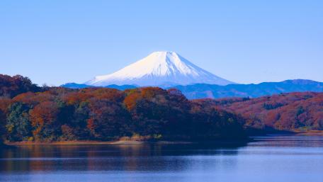 Mount Fuji and Lake Tanuki at fall wallpaper