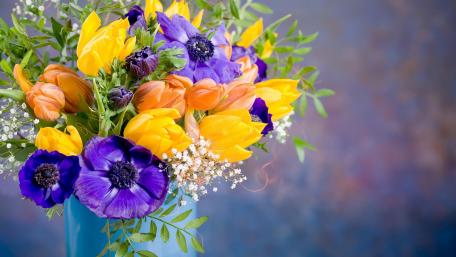 Vibrant Floral Elegance for Your Space wallpaper
