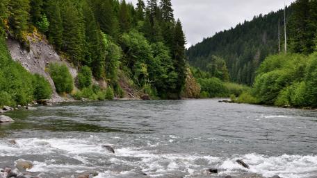 Tranquil River Flowing Through Lush Greenery Daylight Scene wallpaper