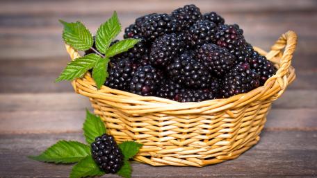 Fresh Blackberries in a Rustic Basket Artistry wallpaper