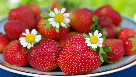 Strawberry Delight in 4K Clarity wallpaper