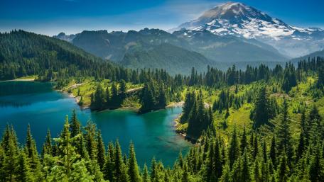 Mount Rainier National Park wallpaper