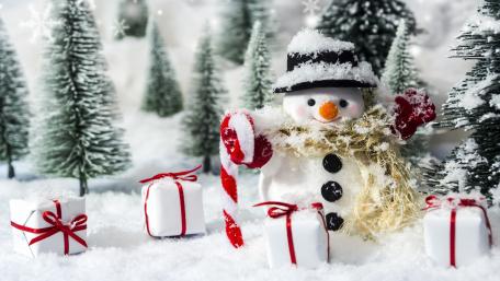 Festive Snowman in a Winter Wonderland wallpaper