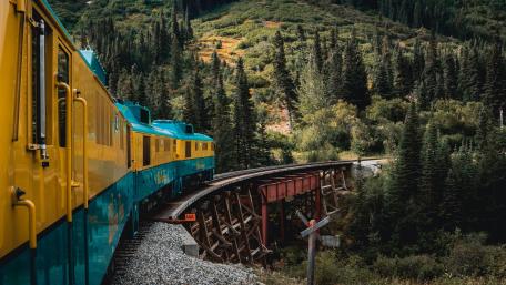 Majestic Train Journey Through Verdant Forests wallpaper