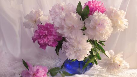 Blooming Elegance in a Blue Vase wallpaper