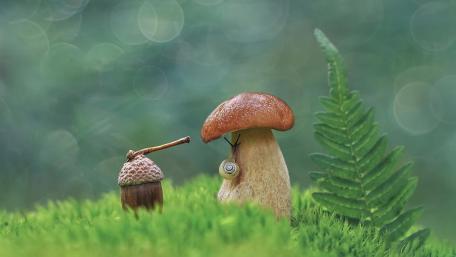 Miniature nature wallpaper