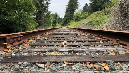 West coast rail wallpaper
